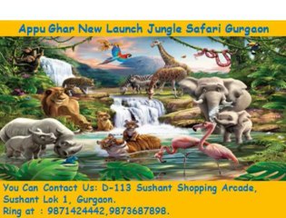 HRU(((Appu Ghar NEC)))9871424442||9873687898|jungle Theme+safari gurgaon