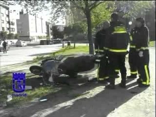 Woman kills alleged purse snatcher with car