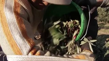 Life + Activa tu auténtica riqueza  Red Natura 2000