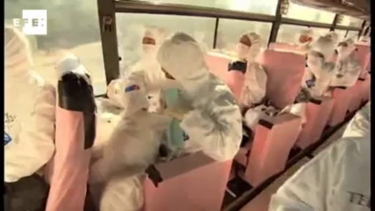 Informe a Cámara: Shinzo Abe reabre del debate nuclear con su visita a Fukushima