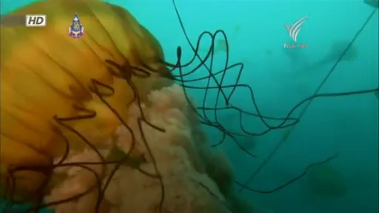 ท่องทวีปอเมริกา - ชายฝั่ง 9Oct13