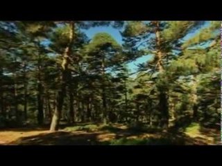 Parque Nacional del Guadarrama