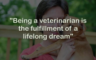 Friendly Veterinarians and Cozy Animal Hospital Canton Ga.