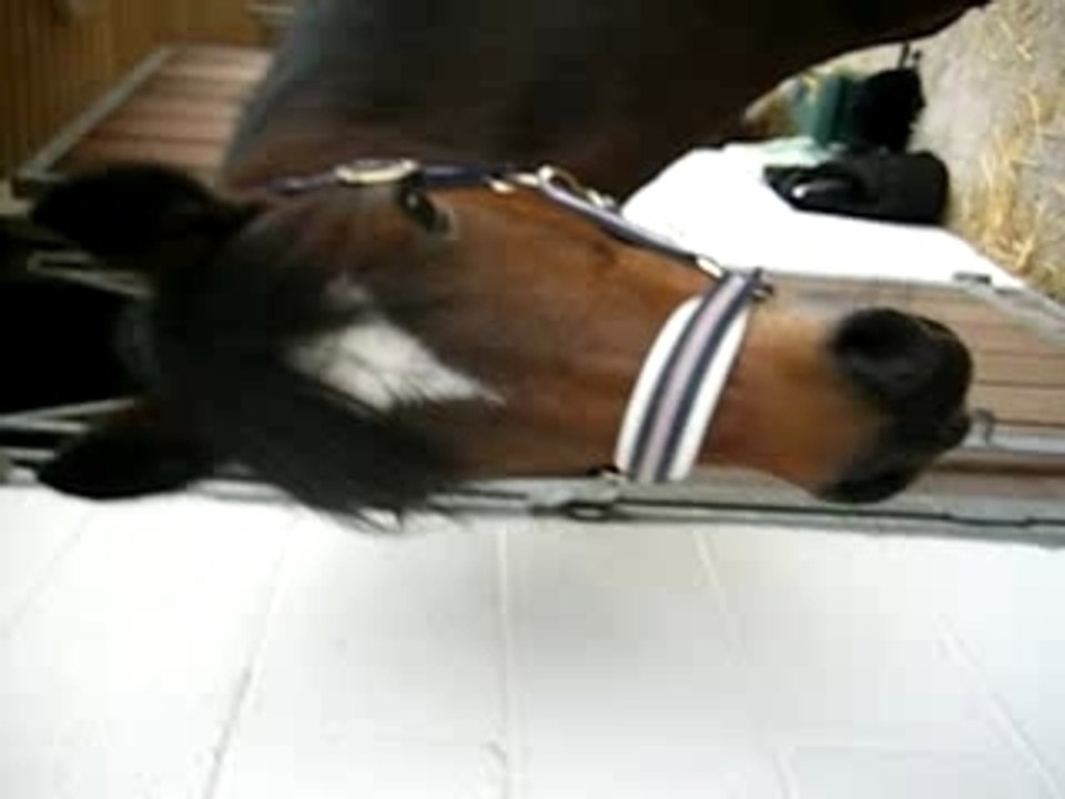 La tète d'Istoire qui bouge