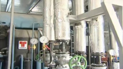 WM 2022: Ex-FIFA-Offizieller Nicholls: "Sommer ist das Beste"