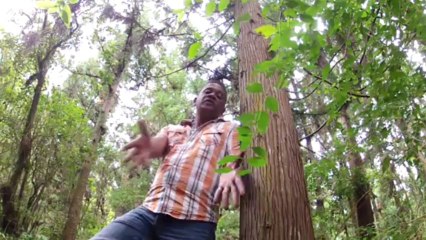 DOM . MI NOURRI PAS LE VER BY SUNSHINE974PROD