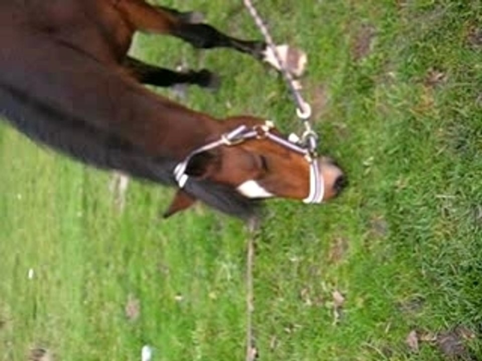 Istoire broute avc Mat