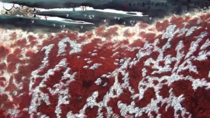 Customize Fine Chinese Calligraphy Art for Sale