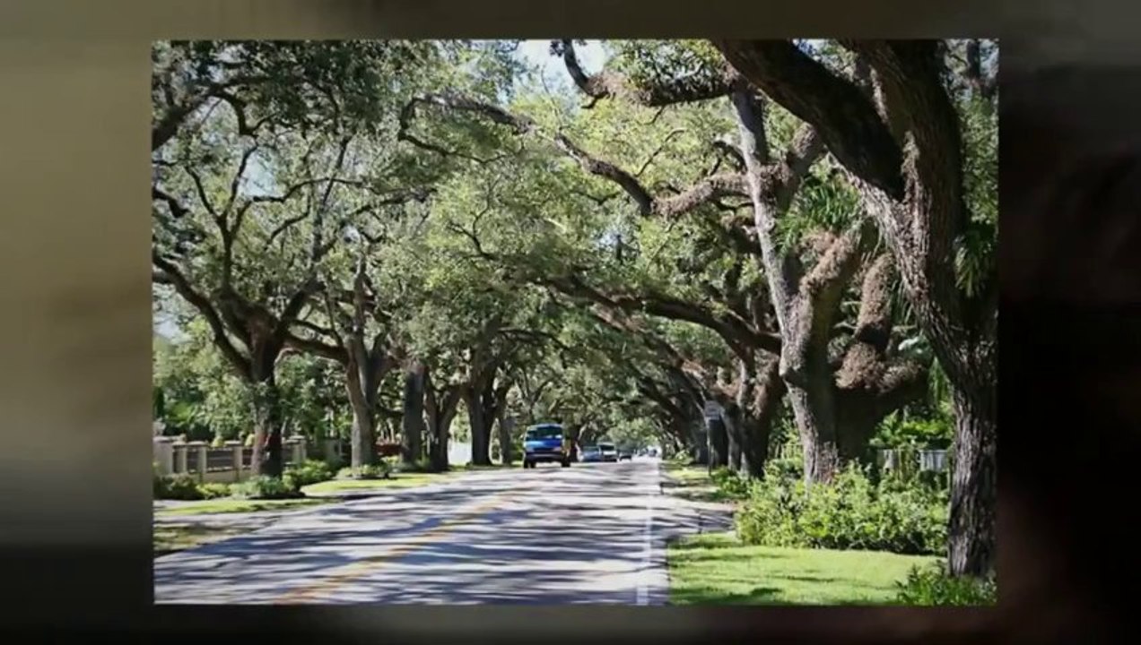 Process Servers Miami Florida  - Ultimate Express Services