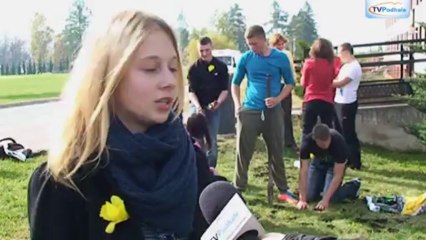 Zasadzili żonkile na Polu Nadziei