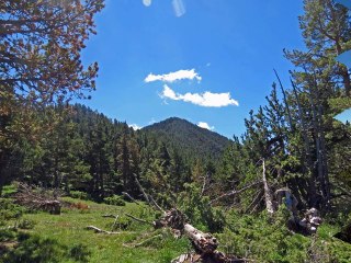 LE MONT CORONAT...........depuis Nohèdes (La  Farga)