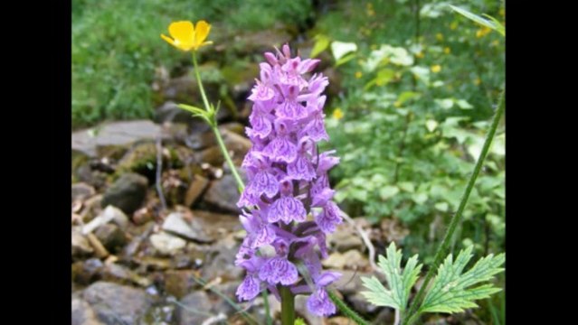 5 Jours autour du mont perdu - Vallée Ordesa