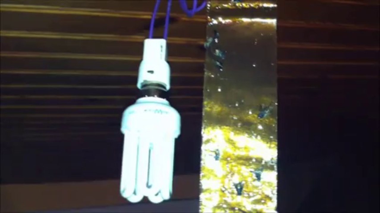 Formula 1. GP de Monaco. Sébastian Vettel.