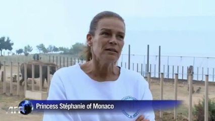 Monaco Princess cares for elephants saved from disease