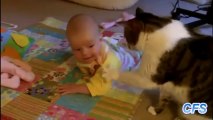 Gatos adoram bebês
