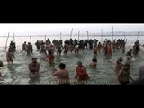 The largest gathering of Naga Saints - Ardh Kumbh Mela, 2007