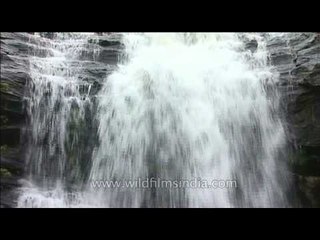 Sheer beauty of a Himalayan waterfall