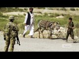 Afghan donkey bomber kills three US soldiers