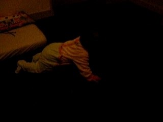 Loris fait du 4 pattes