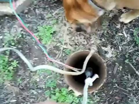 @0904.926.326@ Bơm chìm giếng khoan Pentax, Máy bơm hỏa tiễn Pentax, Máy bơm chìm nước sạch Pentax