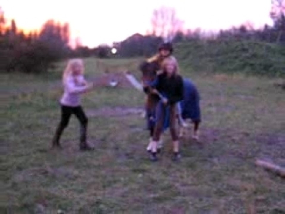 Les folles qui sotent