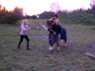 Les folles qui sotent