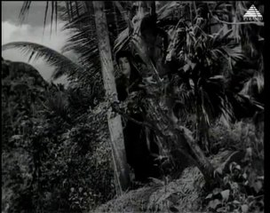 Amaidiyana Nadiyilae - AANDAVAN KATTALAI (1964)