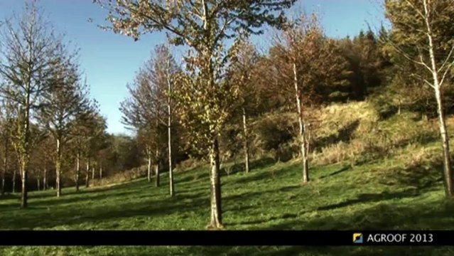 ITW5 GUITTON - cahierDVD PLANTATION/TAILLE - agroforesterie