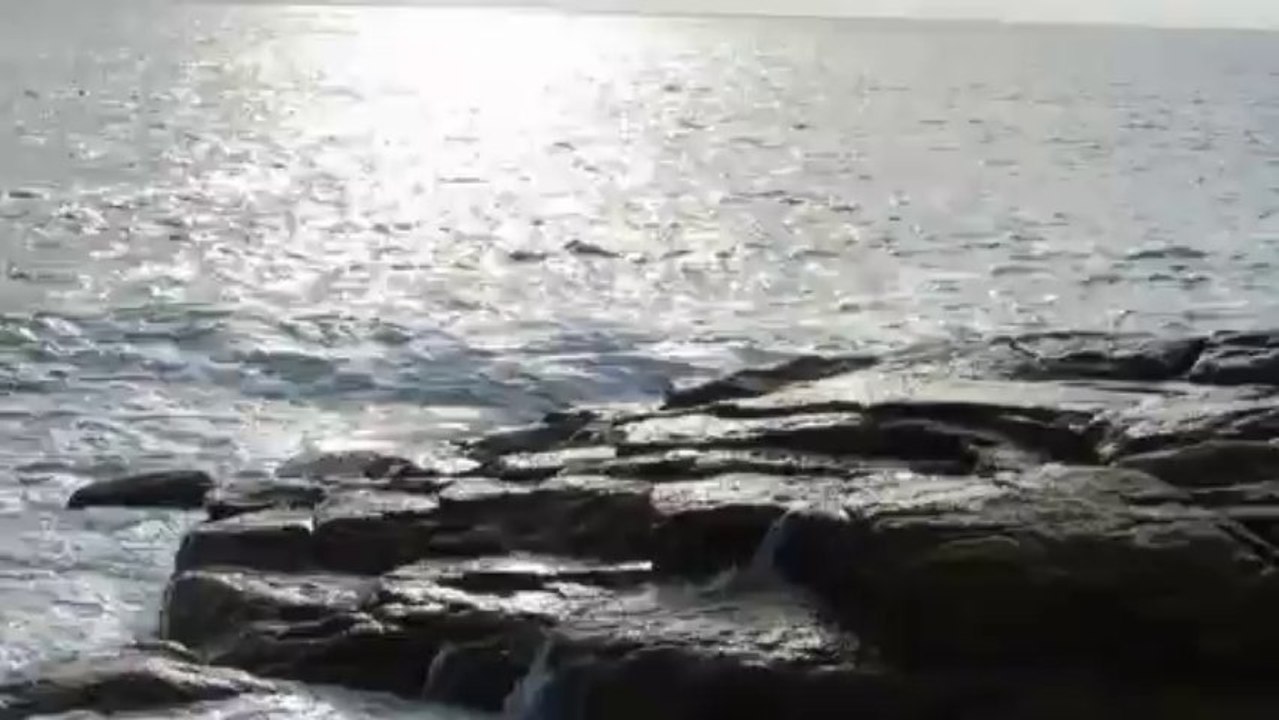 la 7 eme vague