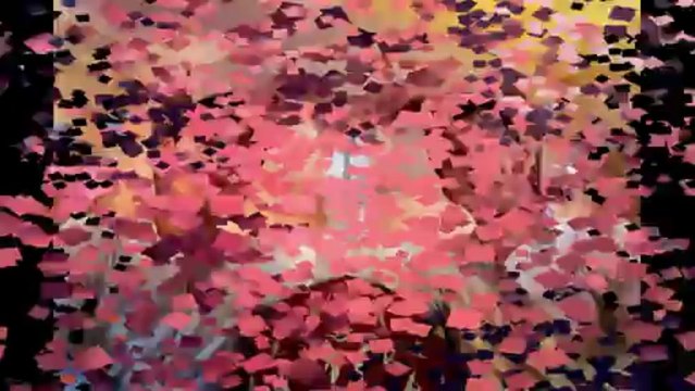 Dritan Bajraktari pse ky lot pom del ,video official bekim meshi