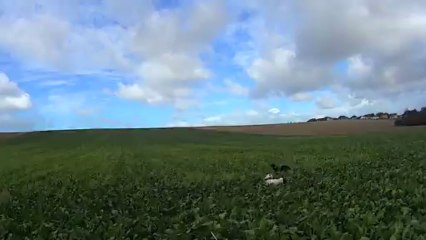 chasse chez patrick 2