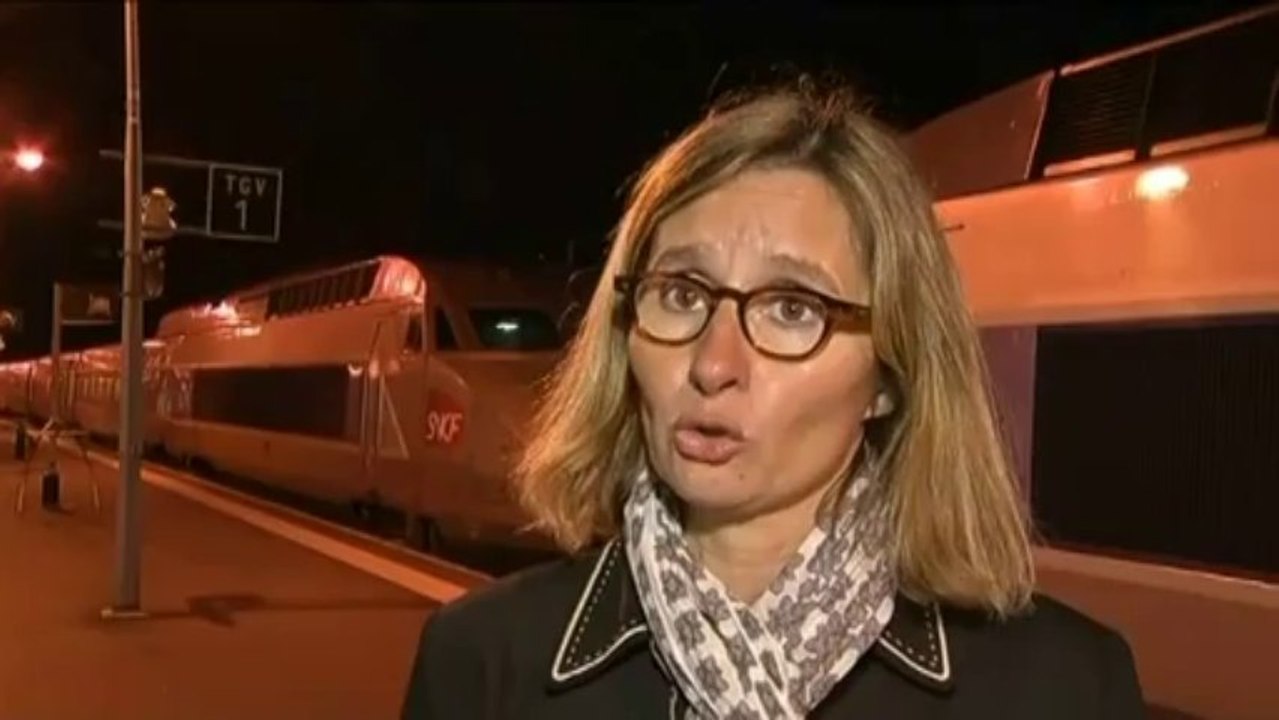 Un TGV percute une voiture tombée d'un pont : la conductrice tuée