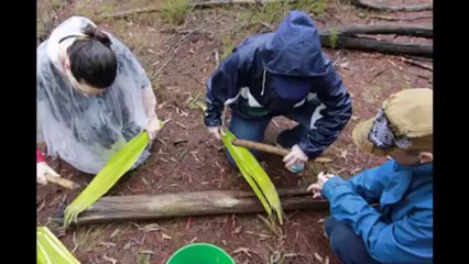 Team Building Activities for Adults -- Xperiences