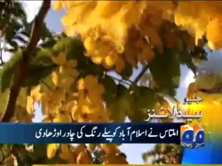 Geo Headlines-15 Oct 2013-1700