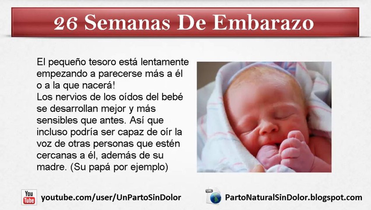 26 Semanas De Embarazo: Cómo Se Encuentra El Bebé Tras 26 Semanas De Embarazo