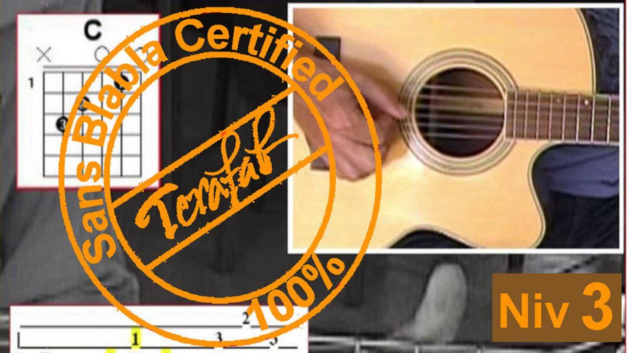 Le pouvoir des fleurs - Laurent Voulzy [Tuto Guitare] by Terafab