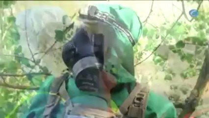 El Organización para la Prohibición de las Armas Químicas, premio Nobel de la Paz