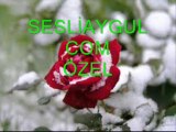 WWW.SESLİAYGÜL.COM BEKLERİZ ARKADAŞLAR