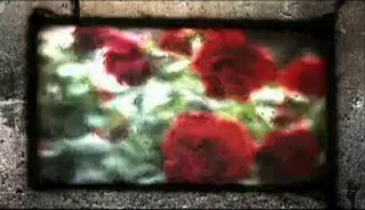 シド×微熱