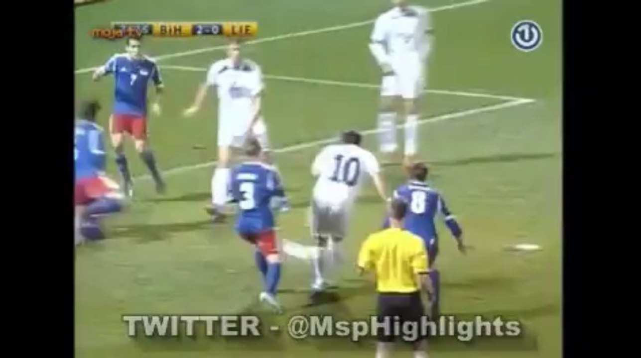 Bosnia vs Liechtenstein 2:0 Misimovic