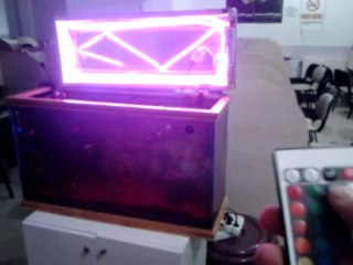 RGB Led Akvaryum