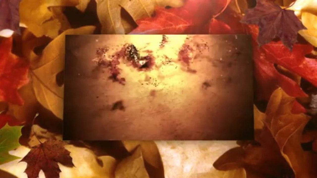 Thanksgiving and Oktoberfest Costumes