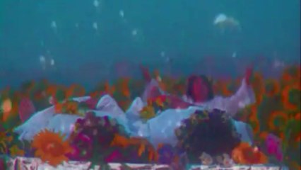 Yıldız Tilbe - Dillere Destan