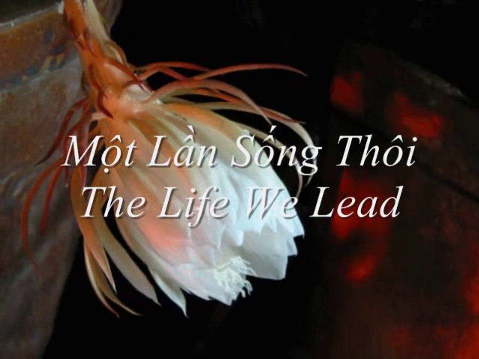 Một Lần Sống Thôi( The Life We Lead)- Dương Hồng Kỳ