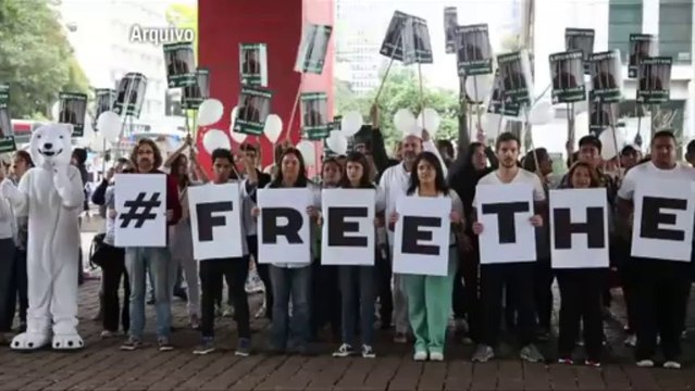 Rússia nega fiança a ambientalistas britânicos