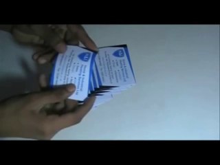 Dinosaur Wall Stickers