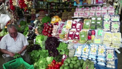 Lima vai organizar Pan-americano de 2019