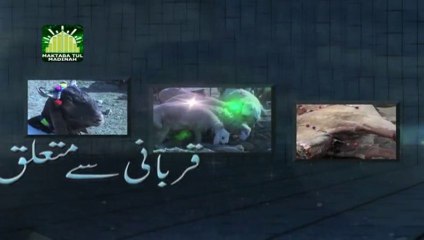 Bapa Ka Mendha DVD Clip 6 - Qurbani Ka Janwar (Madani Khaka) - Maulana Ilyas Qadri