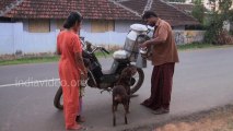 Dog Collecting Milk India