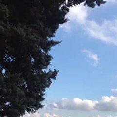 En directe de La Perle Du Lac Genève :)